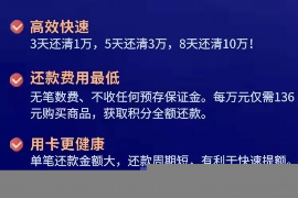 电话不停催收可以报案吗？了解你的权利与应对策略